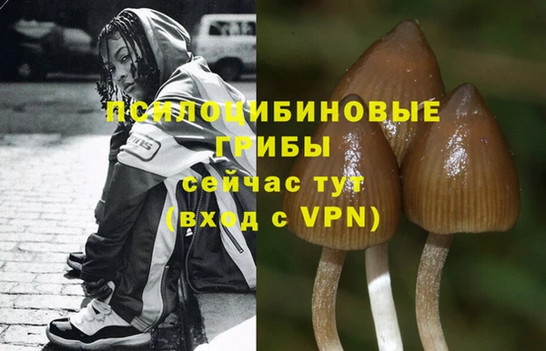 бошки Нефтекумск