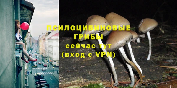 синтетический гашиш Нефтегорск