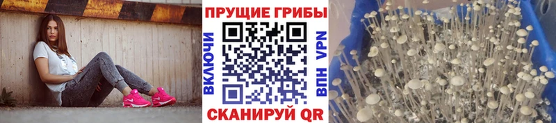 Галлюциногенные грибы мухоморы  Крым 