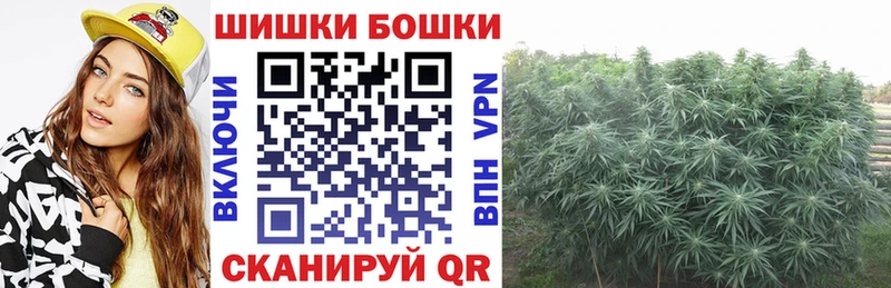 Конопля гибрид  где найти наркотики  Крым 